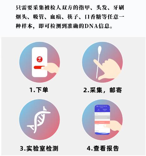 親屬關係鑑定基因測試
